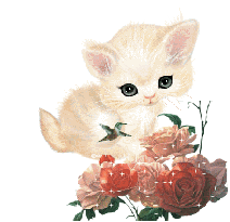 Животные Глазастенький котенок с розами смайлы