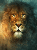 Животные Лев-царь зверей смайлы