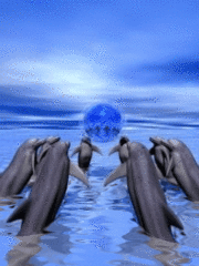 Животные Дельфины с шаром смайлы