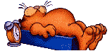 Животные У рыжика-котика сонный час смайлы