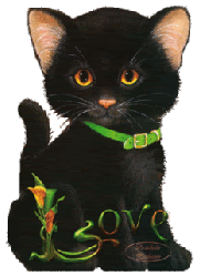 Животные Черненький котенок с любовью смайлы
