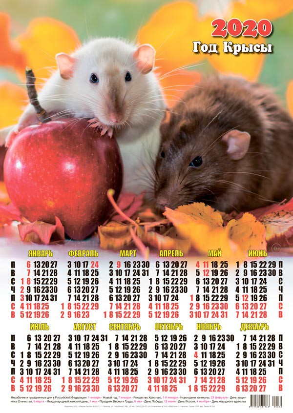 Новый год Календарь 2020 г. Год Крысы. Свежее яблоко смайлы