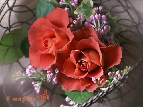 Праздники 8 марта Красные розы смайлы