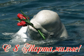 Праздники Поздравление  с 8 марта. Дельфин с цветами смайлы