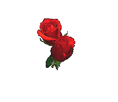 Валентинки Розы в сердце смайлы