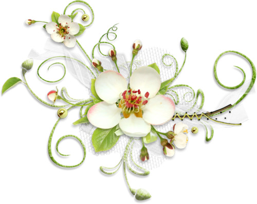 Цветы Цветы яблони смайлы