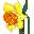 Цветы Нарцис смайлы