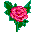 Цветы Роза розовая смайлы