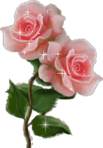 Цветы Розовые розы с переливами смайлы