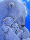 Животные Белые медвежата с мамой смайлы