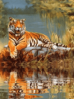 Животные Тигрище у воды смайлы