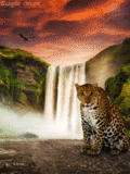 Животные Тигр у водопада смайлы
