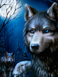 Животные Синеглазый ночной волк смайлы