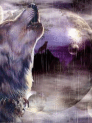 Животные Воющий волк под дождем смайлы