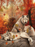 Животные Волки и осень смайлы