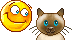 Животные Смайлик с котом с голубыми глазами смайлы