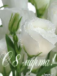 Женские Белая роза к 8 Марта смайлы