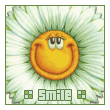 Лето Smile - ромашка улыбчивая смайлы