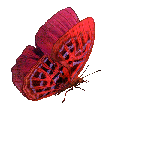 Насекомые Бабочка красная. Украшение текста презентации смайлы