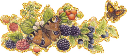 Насекомые Бабочки на ягодах. Декор смайлы