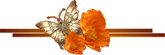 Насекомые Бабочка на оранжевых цветах. Украшение текста презентации смайлы