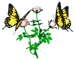 Насекомые Бабочки на цветах Украшение поздравления смайлы