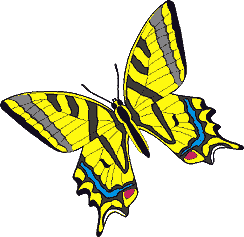 Насекомые Бабочка желтая. Украшение текста презентации смайлы