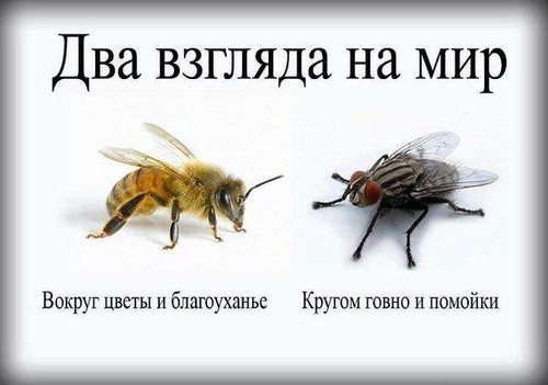 Некультурные Два взгляда на мир, пчелы и мухи смайлы