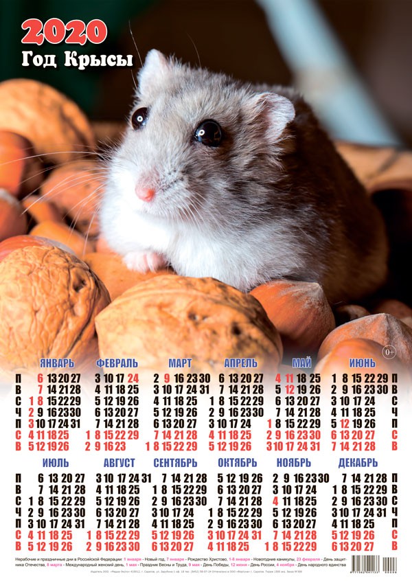 Новый год Календарь 2020 г. Мышка среди грецких орехов. Год Крысы смайлы