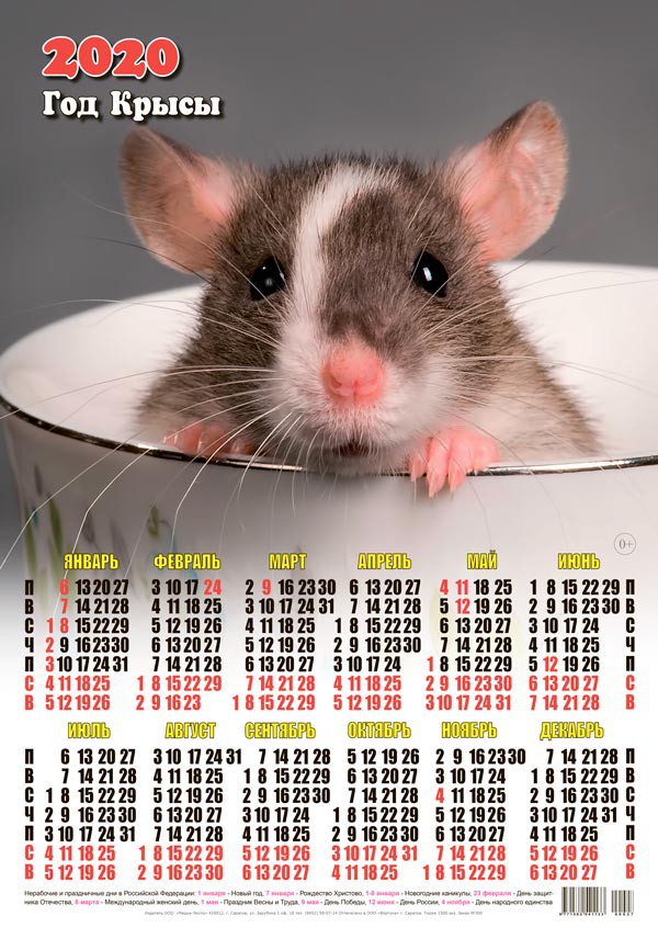 Новый год Календарь 2020 г. Год Крысы. Мышонок в чашке смайлы