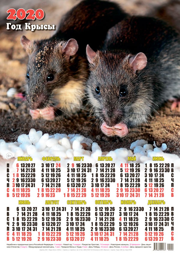 Новый год Календарь 2020 г. Год Крысы. Перекус смайлы