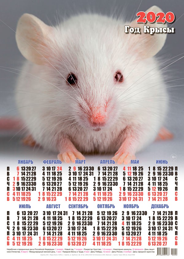 Новый год Календарь 2020 г. Год Крысы. Белая Мышка смайлы