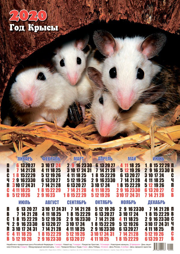 Новый год Календарь 2020 г. Год Крысы. Крысиное семейство смайлы