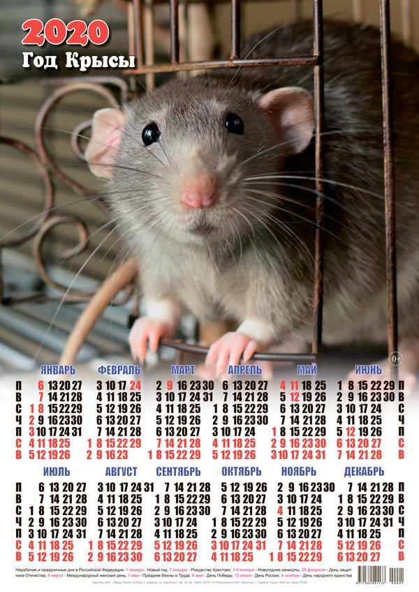 Новый год Календарь 2020 г. Год Крысы. Мышонок-красавец смайлы