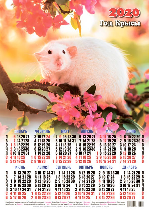 Новый год Календарь 2020 г. Год Крысы. Мышка на цветущем дереве смайлы