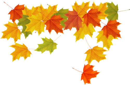 Осень Разделитель из разноцветных кленовых листьев смайлы