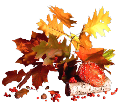 Осень Разделитель с листьями клена и дуба смайлы