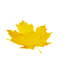 Осень Желтый осенний лист клена смайлы