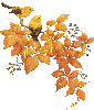 Осень Птицы среди листвы. Осень смайлы