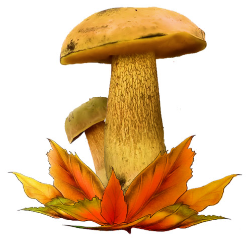 Осень Разделитель - грибы смайлы