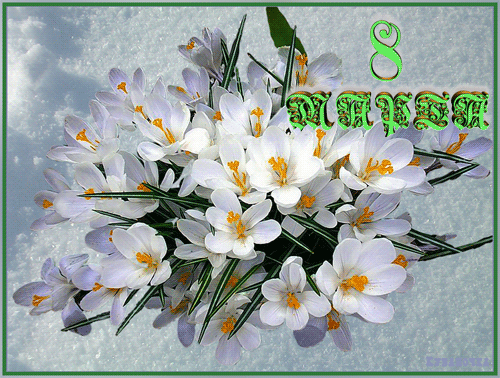 Праздники Открытка-поздравление С 8 марта с красивыми цветами весны смайлы