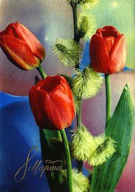 Праздники Картинка 8 марта Тюльпаны и верба смайлы