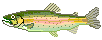 Рыбы Рыба с розовой полосой смайлы