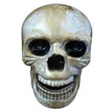 Скелет Улыбающийся череп смайлы