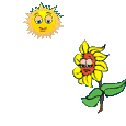 Солнце Солнышко и цветок смайлы