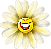 Солнце Солнышко - смеющийся цветок смайлы