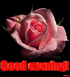 Форум Добрый вечер с розой на черном фоне смайлы