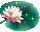 Цветы Лилия в пруду смайлы