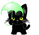 Цветы Черный котенок с зонтом смайлы