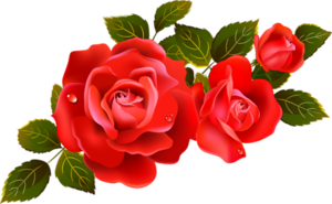 Цветы Украшение для поздравлений - красные розы смайлы